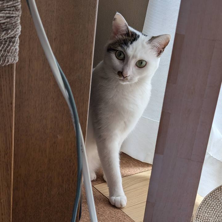 9bb2be33 4f17 48a2 862e 9d0bef18e9e0 1723762153080