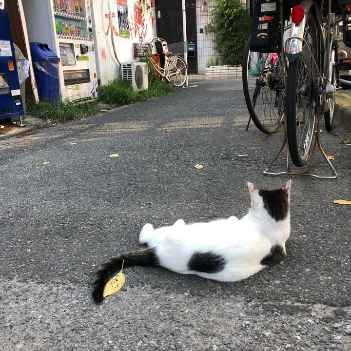 9bb2f91f 5566 4182 9a0a aa5f9176635d 1536146812826