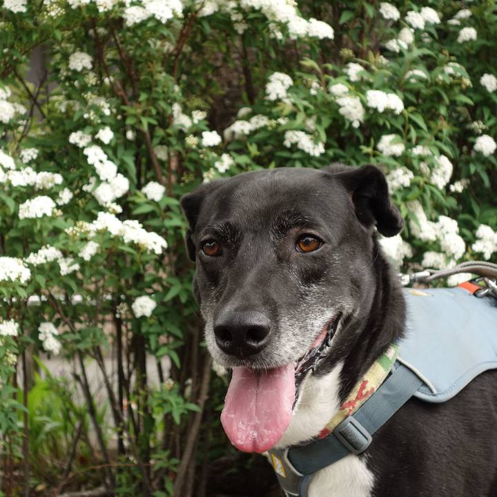 9bb33b42 22bf 4ff0 8e9c c3f17bec42df 1713402116091