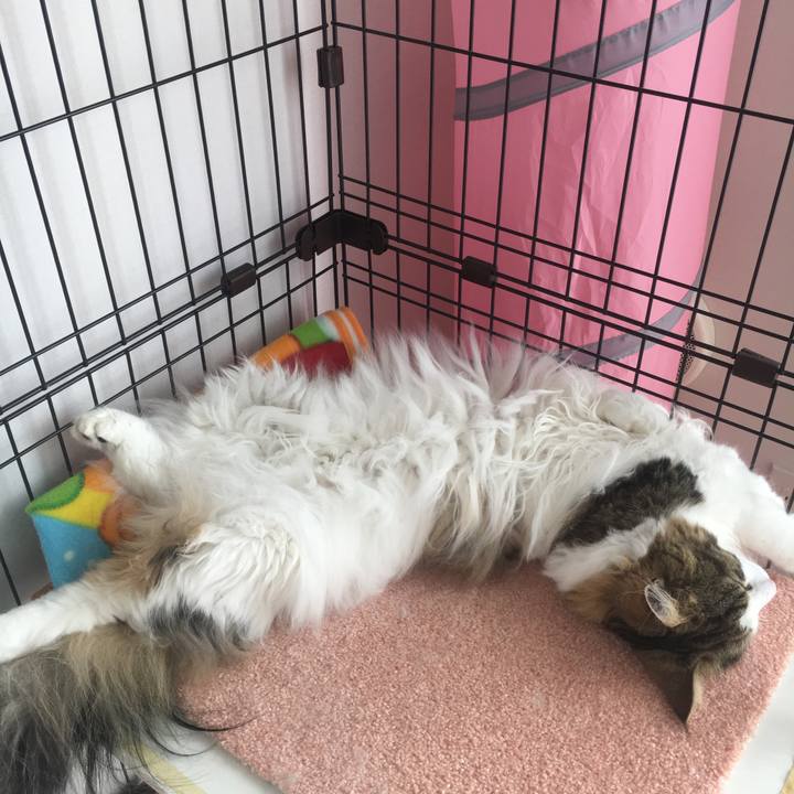 9bb358fe 8ef3 4092 ab79 6a4c10bae6eb 1564463536267