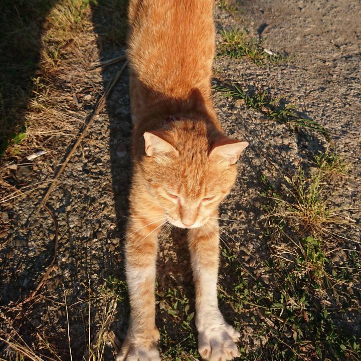 9bb36254 4a69 40ad 95fc f7d5bf79aed8 1560457919324