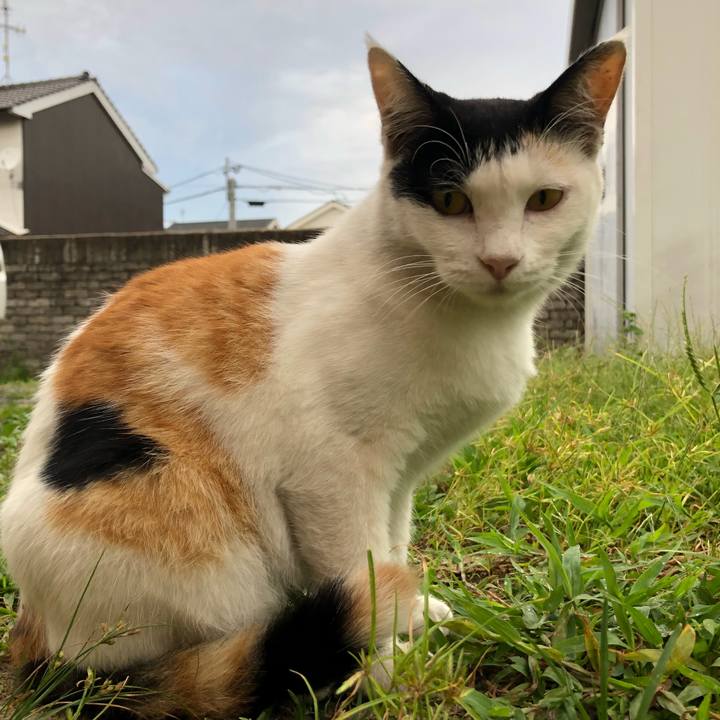 9bb4065e e227 48a6 89bb b784b05faac3 1599172243195