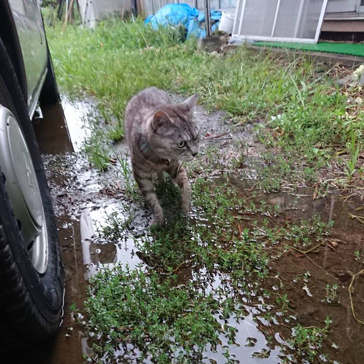 9bb4426e 20ac 4053 9b4b f2649ac9a470 1567025893082