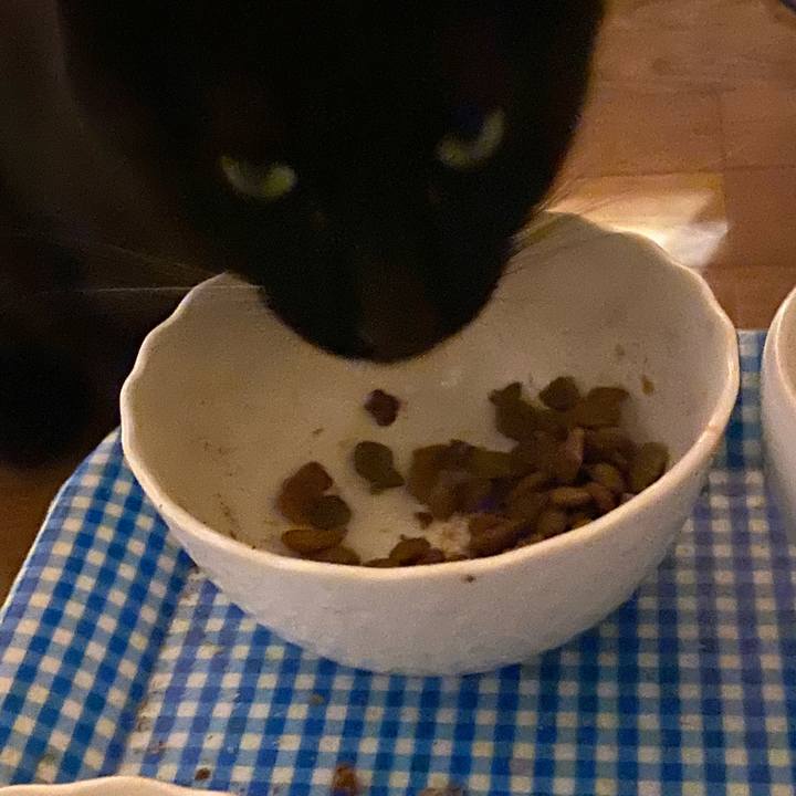 9bb44465 24ef 4dca 8421 b7136272b3f5 1619092337149