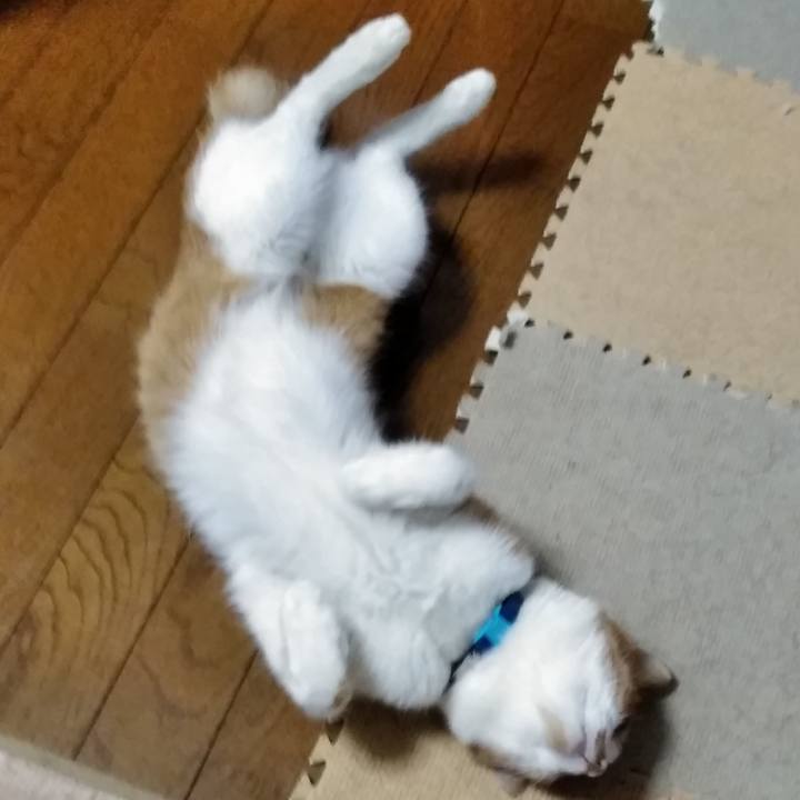 9bb45a1d 6a66 4403 b9ba 168421ec0ea8 1562621867400