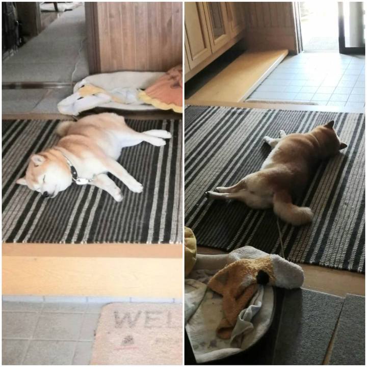 9bb478d8 7d97 4237 ae81 50cfabaa2be9 1590732122723