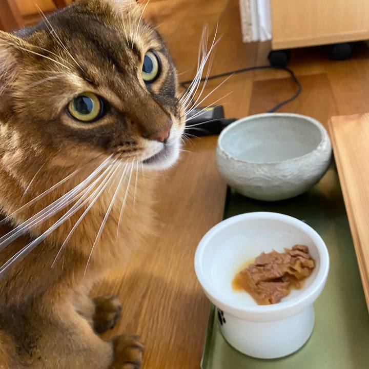 9bb47d53 6901 4492 b232 5f4ec4f2ae89 1664585061906