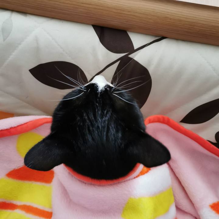 9bb47f0a 3802 478d aca6 cba18d78388a 1674283818362