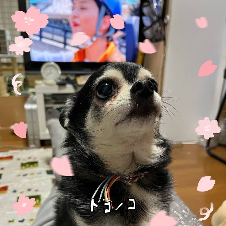 9bb48177 5628 4213 acc8 464a807ac06d 1744283032402