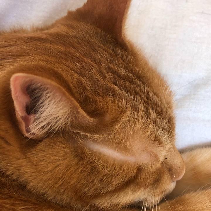 9bb4a758 a8ae 4578 9a43 8d728d5be6ba 1582938354864