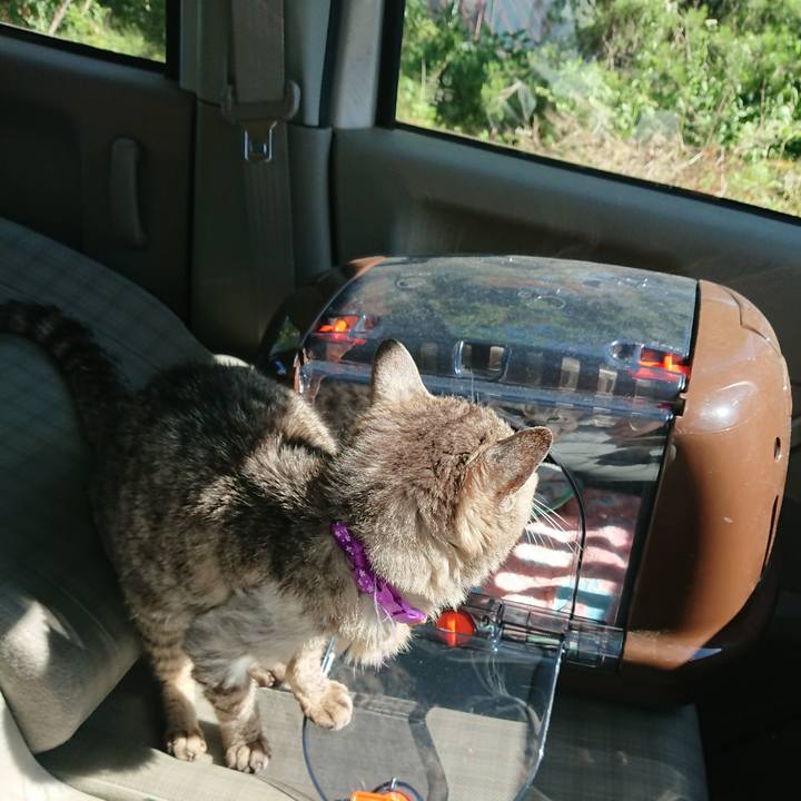 9bb4d4c3 4784 4c0e b667 363e6da1c79a 1592635392035