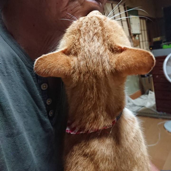 9bb4da14 dbed 42d6 9a66 5b36f827d80d 1597780540073