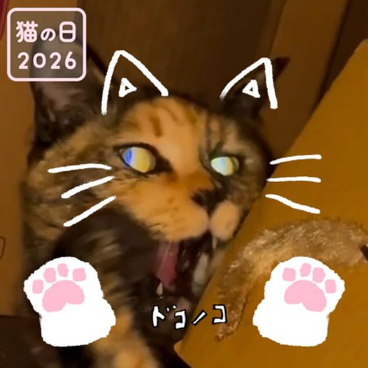 9bb4dba3 721c 4ff7 a78d 2b67ba87245c 1771687251148