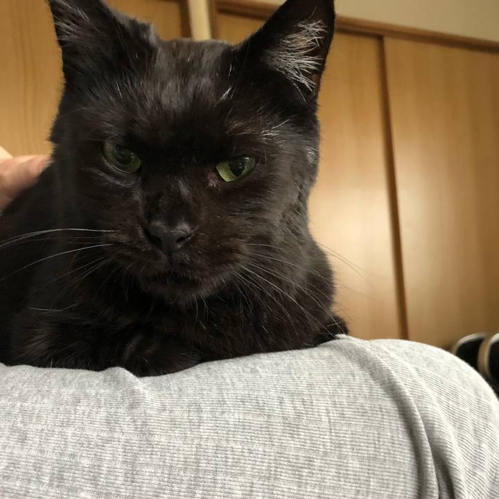 9bb4ef1c a3c5 4eb8 821a 3f4344db9a1a 1589965079843