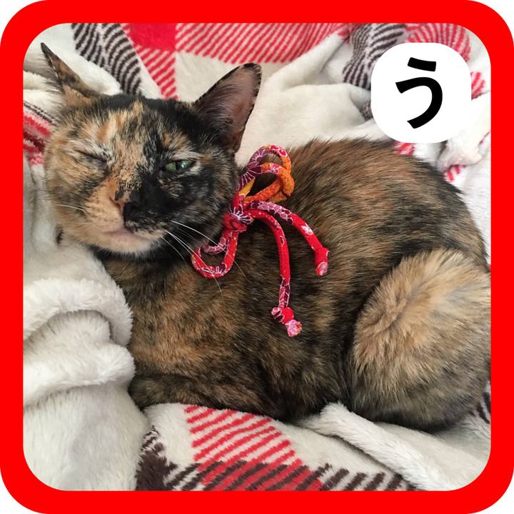 9bb50c53 5881 44f7 a70a 0844d33a8419 1515413414709