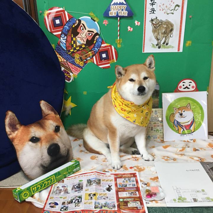 9bb539da b341 490d 9d58 6eb7ea2d80ce 1612685756986