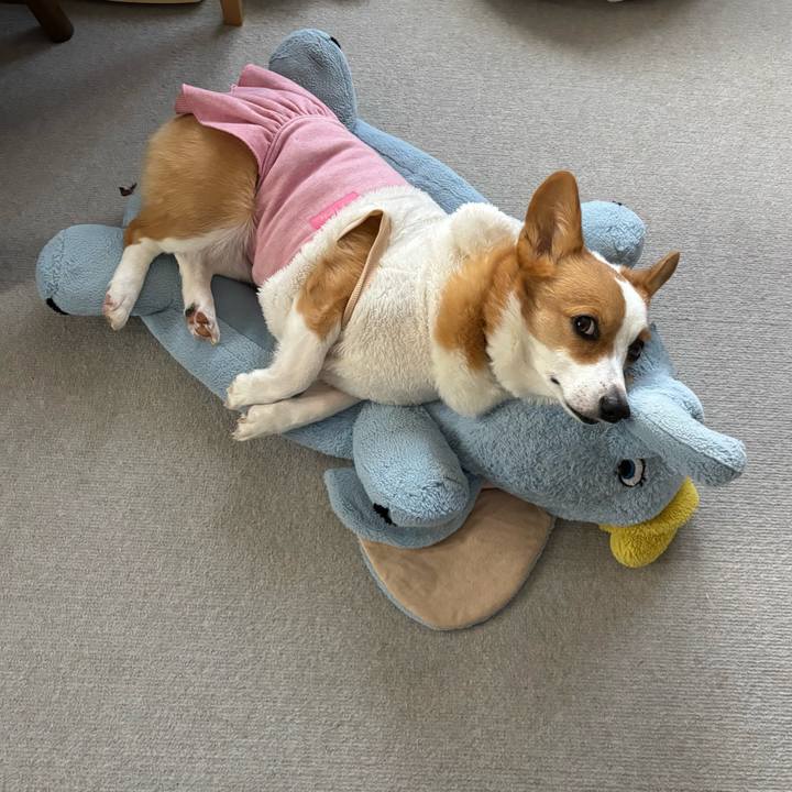 9bb56cbf 070c 4d06 a20c 3ecdda69d5e2 1766719319898