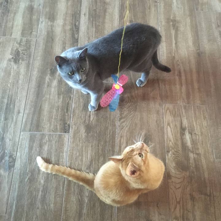 9bb578bc a2cc 4cc5 8232 8eed91140137 1655864901793