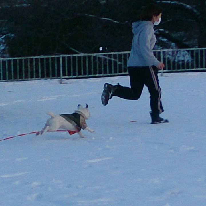 9bb59667 f20b 469b a6ce 2f5374ca4c32 1516751185404