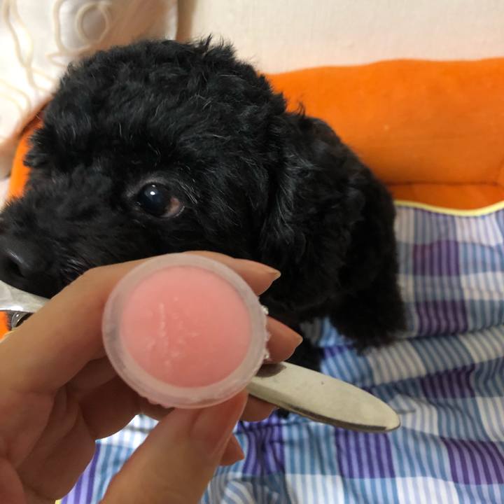 9bb5b417 48e3 445f 8f71 96c74514c689 1565074320166