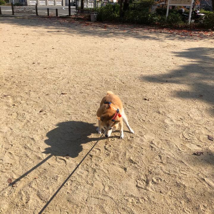 9bb5d1ee cfc0 4526 942c 581bf5f5bb51 1605619554676