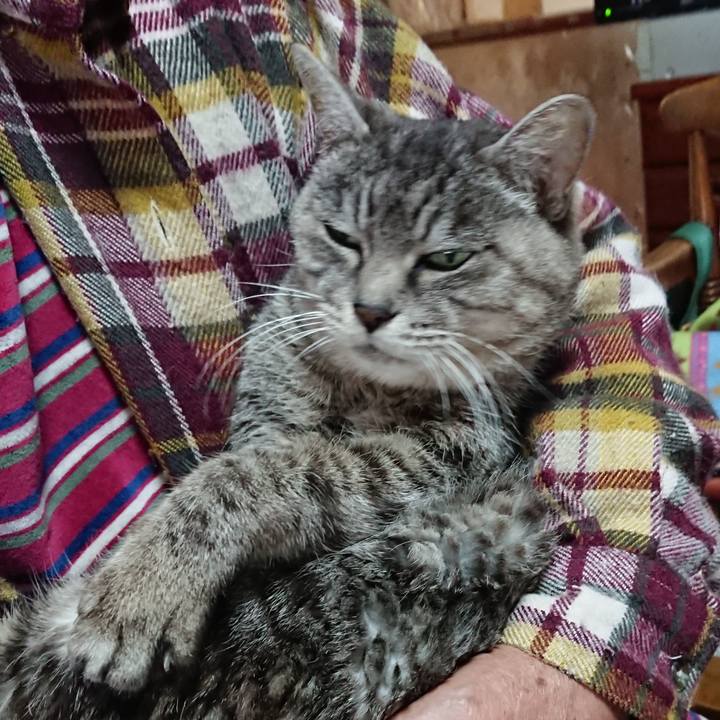 9bb60ea3 a427 490b 922c b6cc744c6da7 1576282120501