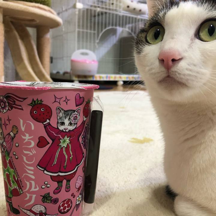 9bb63e1e cf81 440e a620 7bce87f12b42 1710592284017