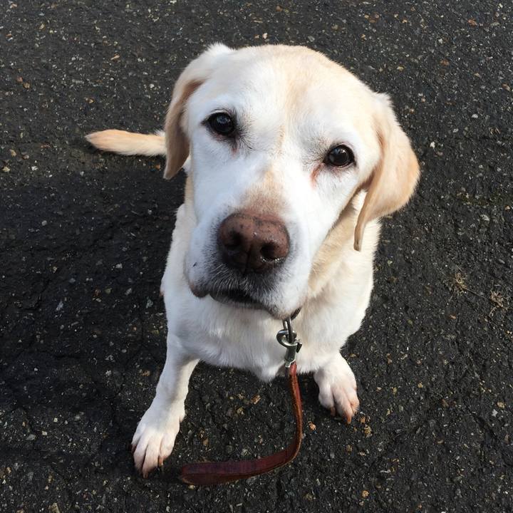 9bb65571 9095 4b02 a0e9 3c1a2c2557c2 1540973174558