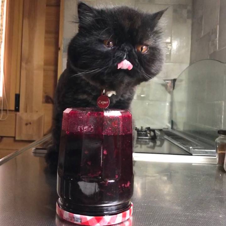 9bb67fea 351f 4196 8888 07894d070b63 1564149567406