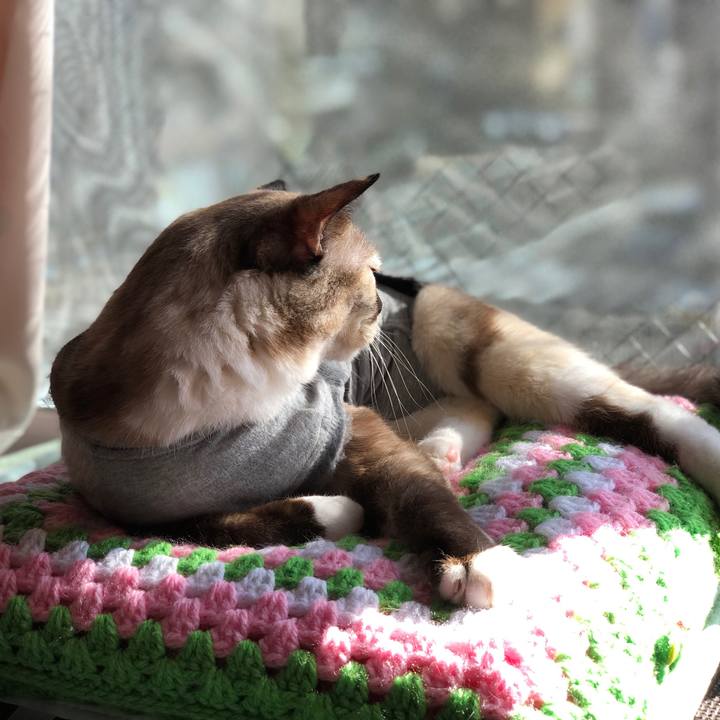 9bb6e5cb a782 4059 81ea fe2bbb21c717 1665671692890