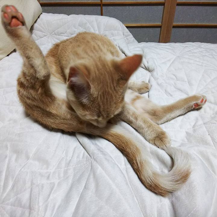 9bb71490 e180 4e75 8aed 704ddb9d17d6 1543738562838