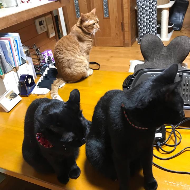 9bb757a9 c191 4ac4 aa55 00ea945d839c 1558875959382