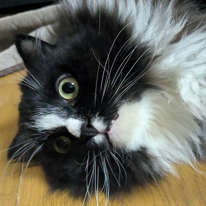 9bb7b50d d84a 45e6 b4a4 df0926fd85d9 1754049107777