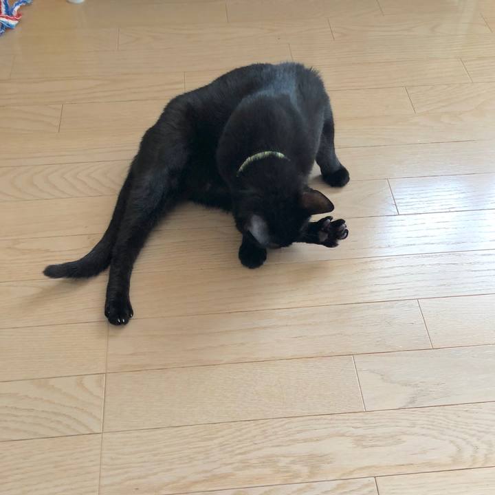 9bb7cebe ad98 4e9f beca fc01e7f888a7 1527987252152