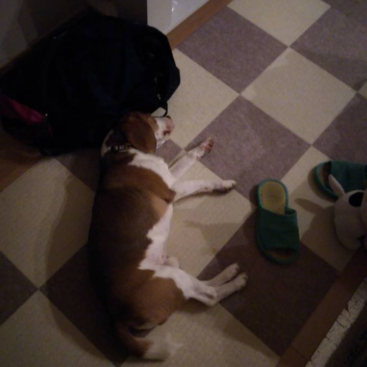 9bb7d98a 55b8 4212 b42d cb7ed0969043 1564233818879