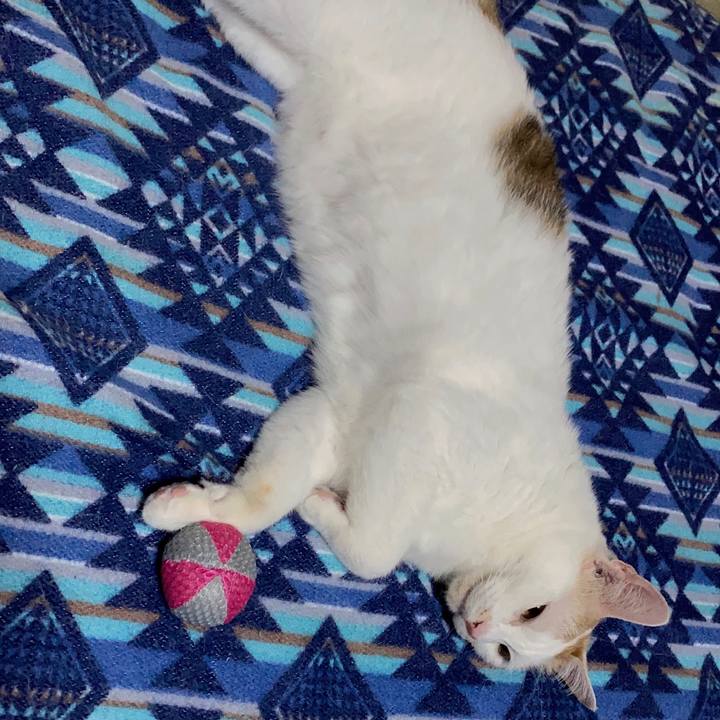 9bb7e2b5 c6cb 4bfb ab5c c56c035879f9 1591528429352