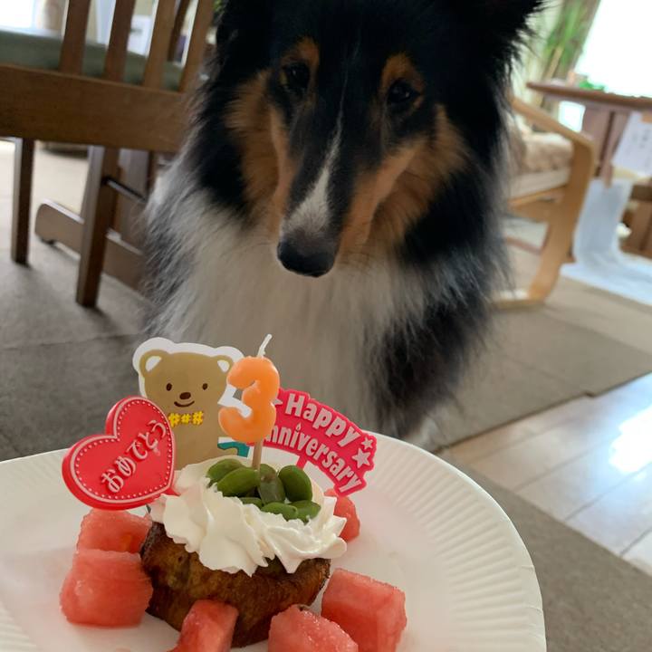 9bb7fcce f277 4fd1 9220 4f1147a65a3c 1597614634690