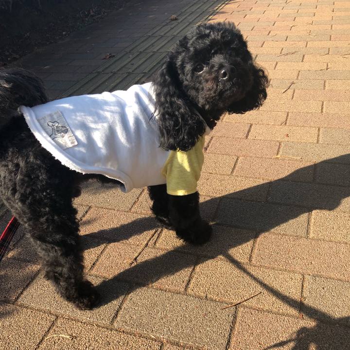 9bb813e0 3b92 46e6 ad86 e86dfeb103ea 1543631105428