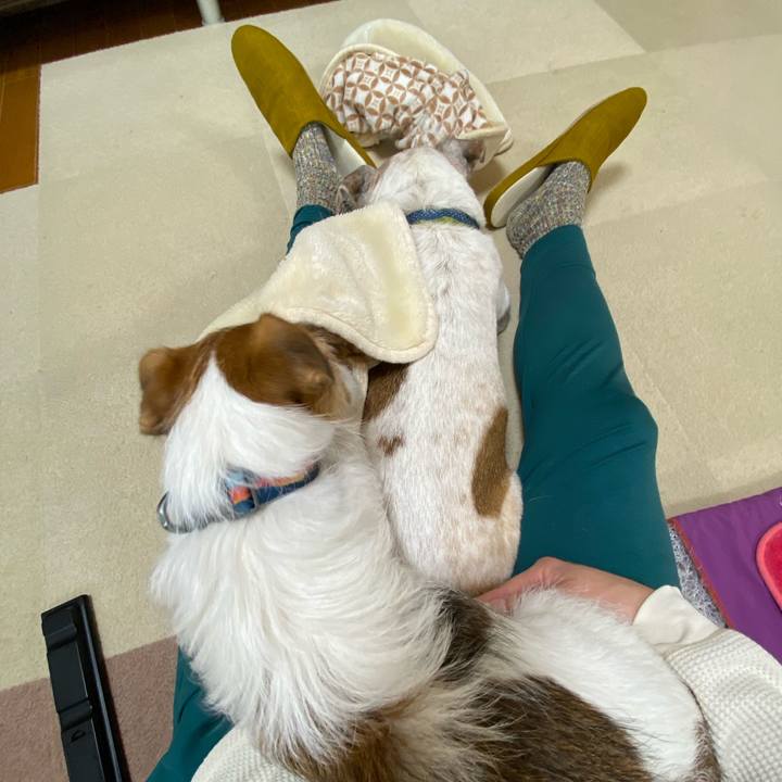 9bb81b57 1af3 42ba 8dfc 1b2750e9e6a9 1670114154199