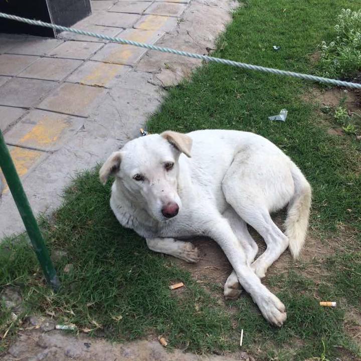 9bb81c56 fa66 47a6 a79d b5ea5aebd09d 1521201930545