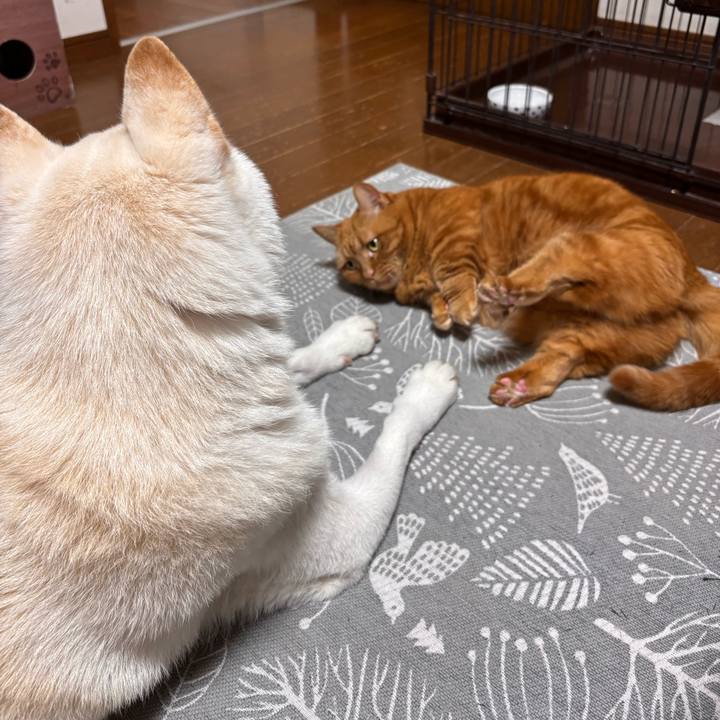 9bb82029 f36c 47d6 9be8 19dc7df0e4b5 1772715096172