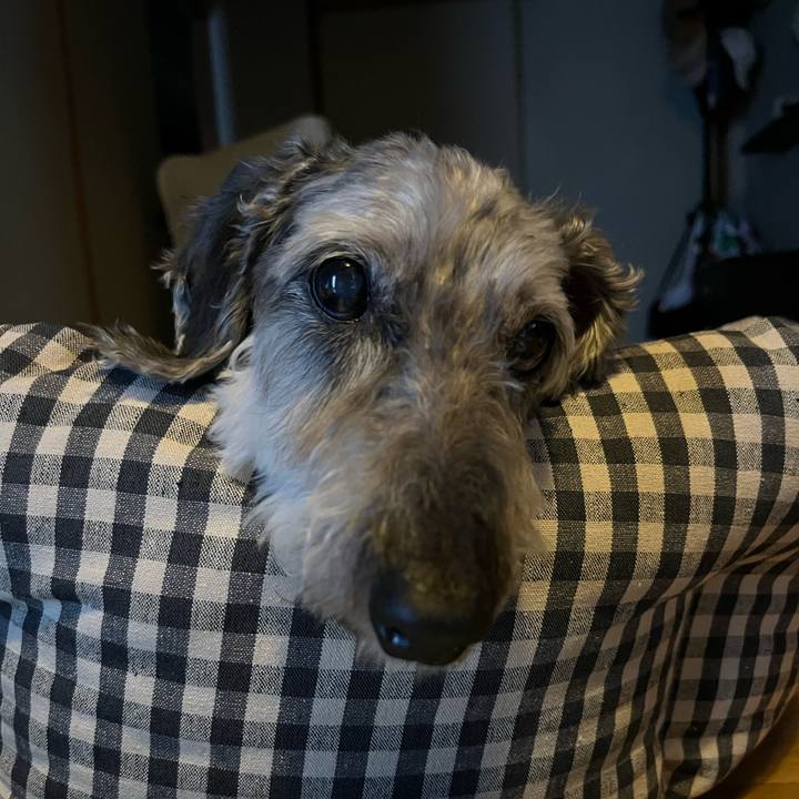 9bb824c0 6981 4019 9399 d6abc6948104 1657588683253