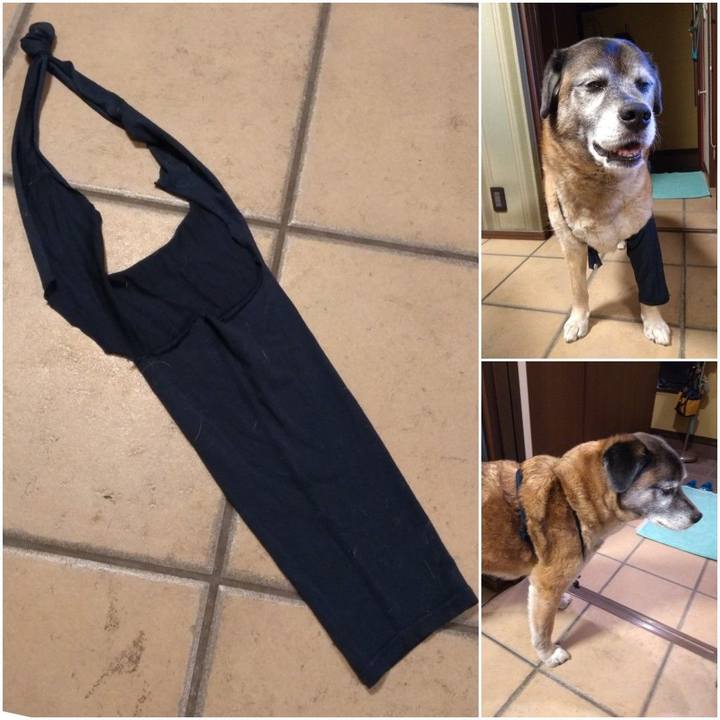 9bb8405d e4ed 4908 9298 c783e4942f75 1559222022436