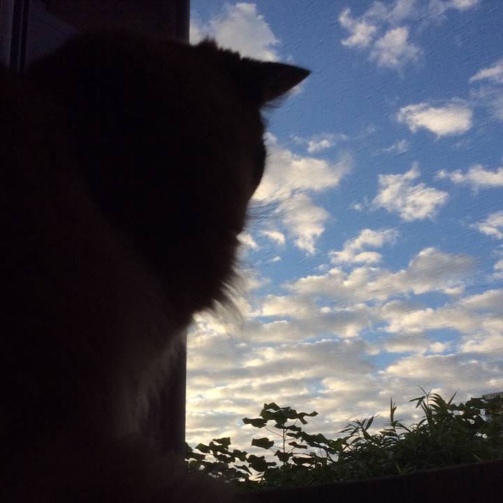 9bb85283 e728 4755 9fc4 11666ac335c4 1631755413885