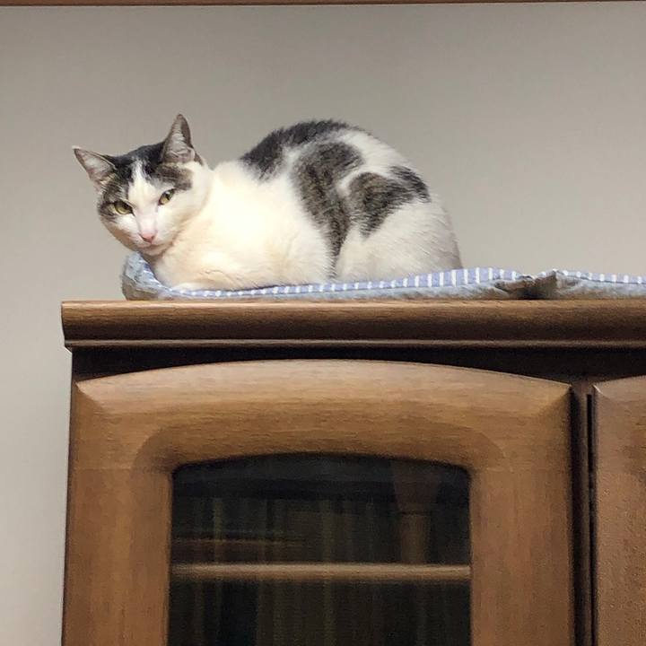 9bb882b6 9001 47df 8436 43f079b45bfb 1647647128842