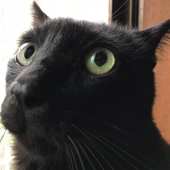 9bb897bc 97e1 416c a5a6 17827fa5158a 1512173303750