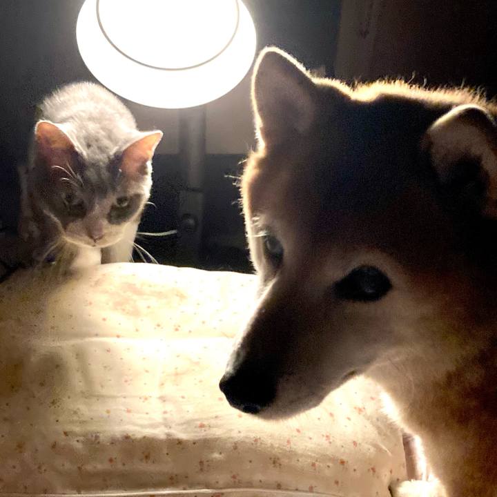 9bb89d64 5da0 4006 ba98 7fc22b0084c9 1694175563143