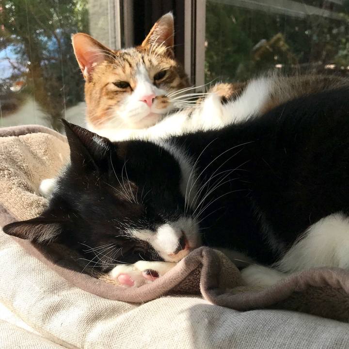 9bb8abf1 ab91 4208 a6bf a3037c320d90 1551488649234