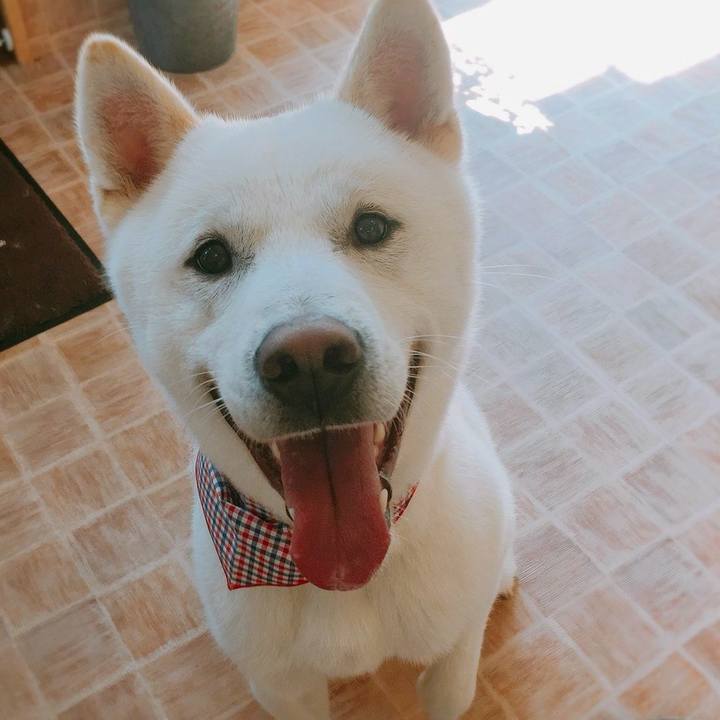 9bb8e9f6 c28c 4467 8939 820deac3cd65 1522131851762