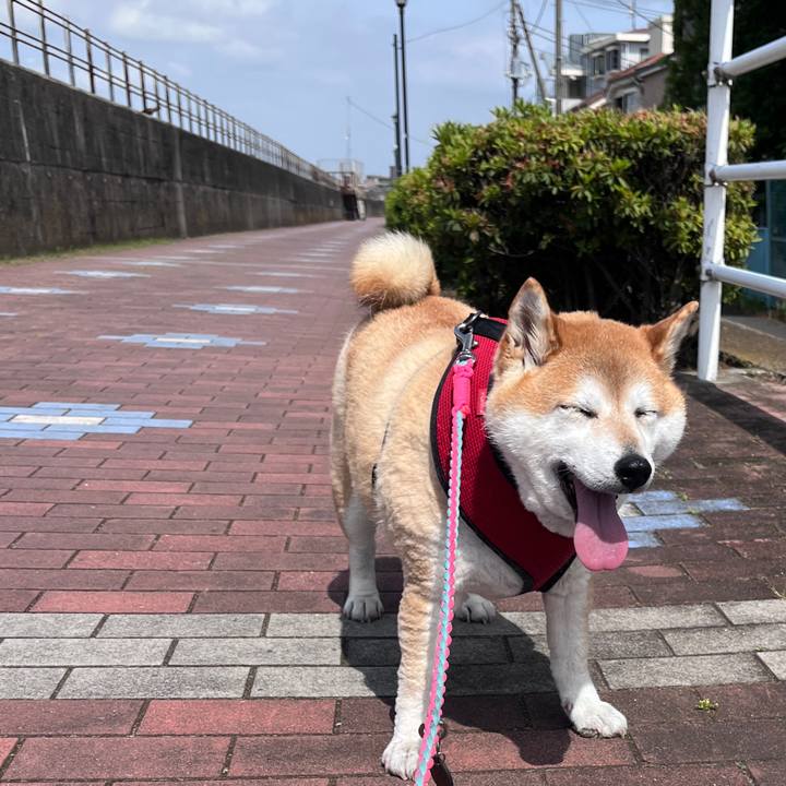 9bb8f5b9 025a 4ef8 a328 97f5d3b1541d 1716372745343